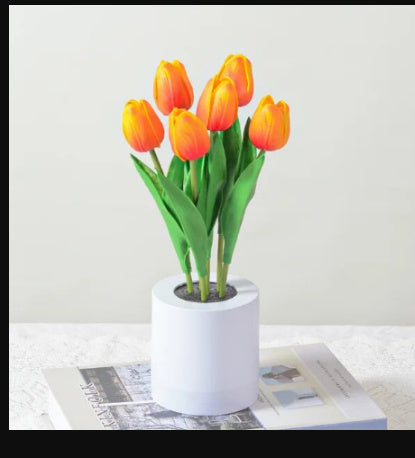 Rechargeable LED Tulip Night Light
