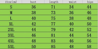 Women's Plus Size Skirt Bikini Printed Swimsuit