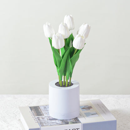 Rechargeable LED Tulip Night Light