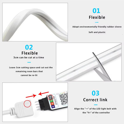 RGBIC Neon LED Strip Lights with Music Sync