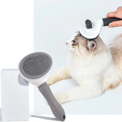 Pet Hair Removal Brush