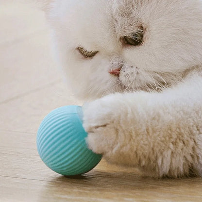 Smart Interactive Ball for Pet Cat