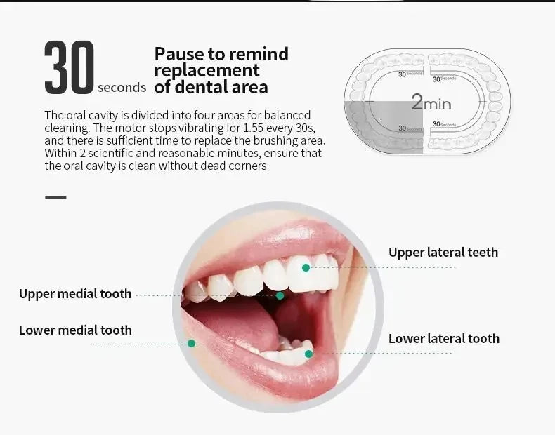 Ultrasonic Electric Toothbrush