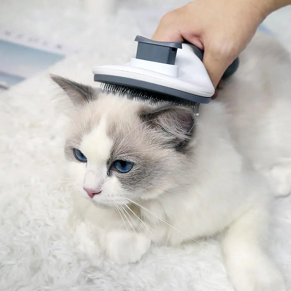 Pet Hair Removal Brush