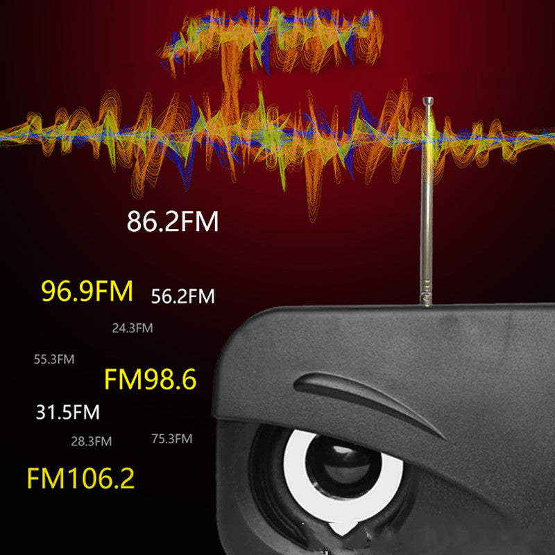 Portable Outdoor Radio FM Subwoofer Dual Speakers Mini Speaker